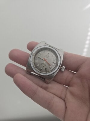 1000032528.jpg