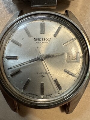 IMG_8179.jpeg