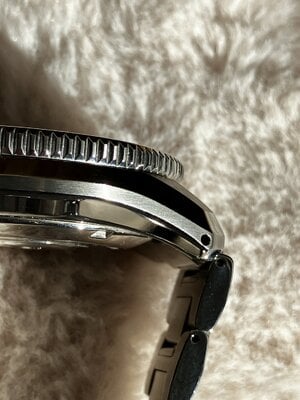 IMG_2260.jpeg