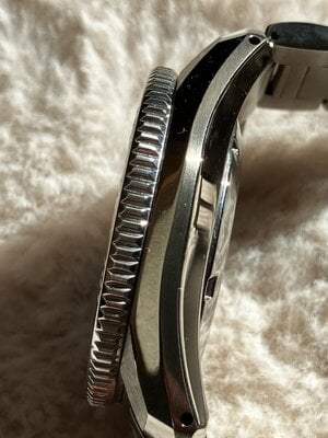 IMG_2259.jpeg