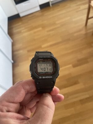 IMG_2666.jpeg