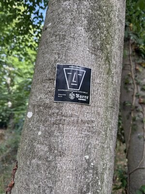 IMG_1970.jpeg
