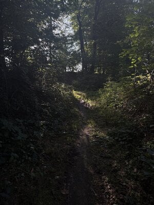 IMG_2026.jpeg
