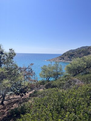 IMG_9936.jpeg
