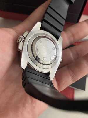 IMG_3604.jpeg