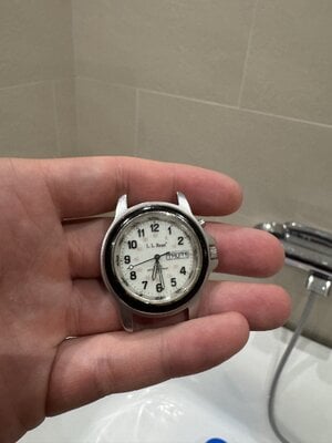 IMG_2561.jpeg