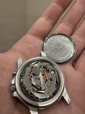 IMG_2564.jpeg