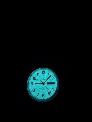 IMG_2568.jpeg