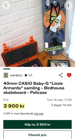 13703.jpg