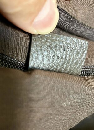IMG_1285.jpeg