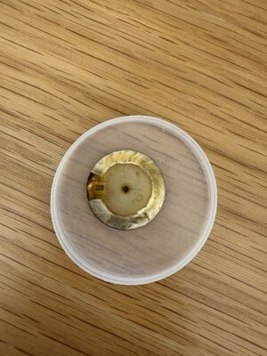 IMG_0279.jpeg