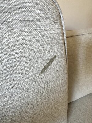 IMG_1270.jpeg