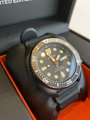 IMG_2856.jpeg