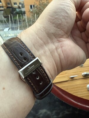 IMG_0606.jpeg