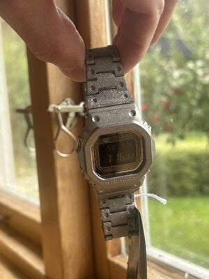 IMG_6008.jpeg