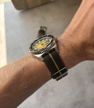 IMG_3145.jpeg