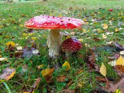 IMG_0625.jpg