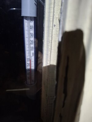 1000027897.jpg
