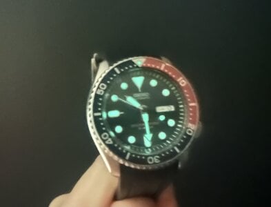 IMG_0273.jpeg