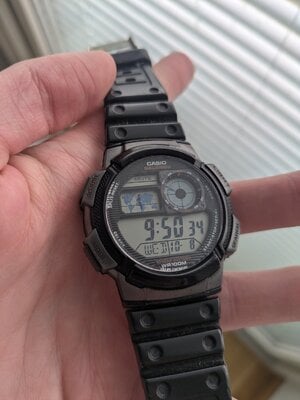 1000009380.jpg
