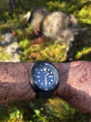 IMG_0264.jpeg