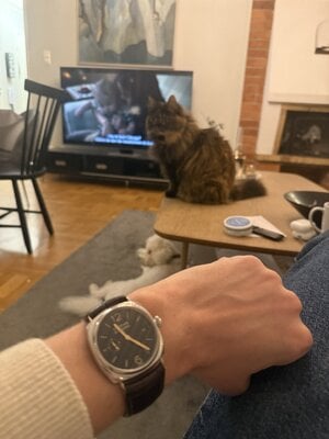 IMG_8075.jpeg