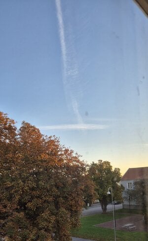 1000011082.jpg