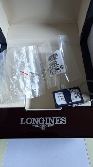 IMG_2602.jpeg