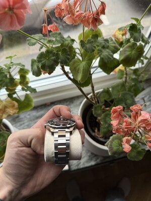 IMG_0486.jpeg