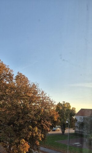 1000011285.jpg