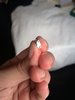 20160323_091843318_iOS.jpg