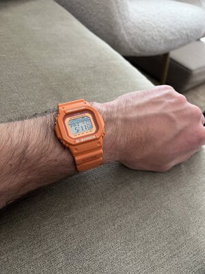 IMG_1102.jpeg