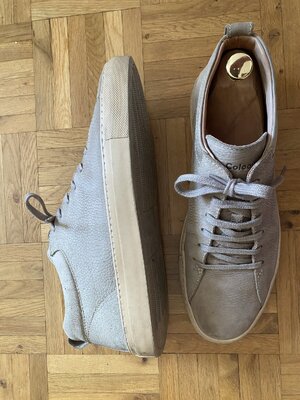 IMG_6810.jpeg