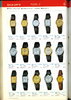 1980 Seiko Catalog.V1-072.jpg