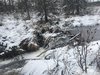 823130D3-E393-4E60-A717-D475B8C0363D.jpeg
