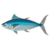 skipjack