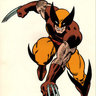 wolverine