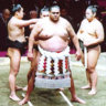 Sumo