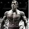 arnoldlex