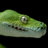 Herpetologen
