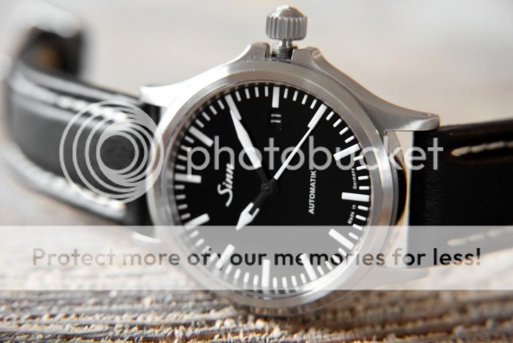 Sinn499_zps4592218d.jpg