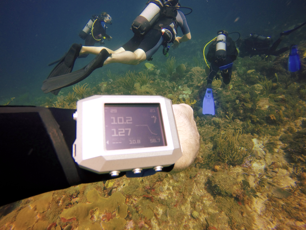 LW-Reef-27.jpg