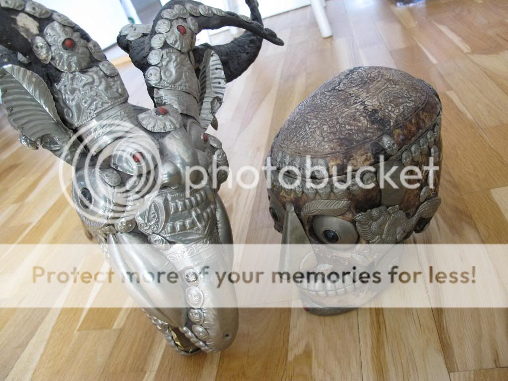 IMG_5427_zpse0f7d941.jpg