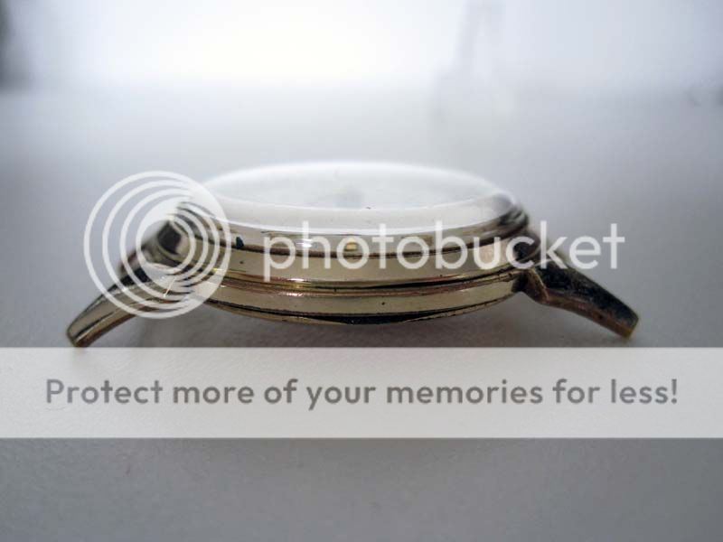 IMG_6699_zps4939fd5b.jpg