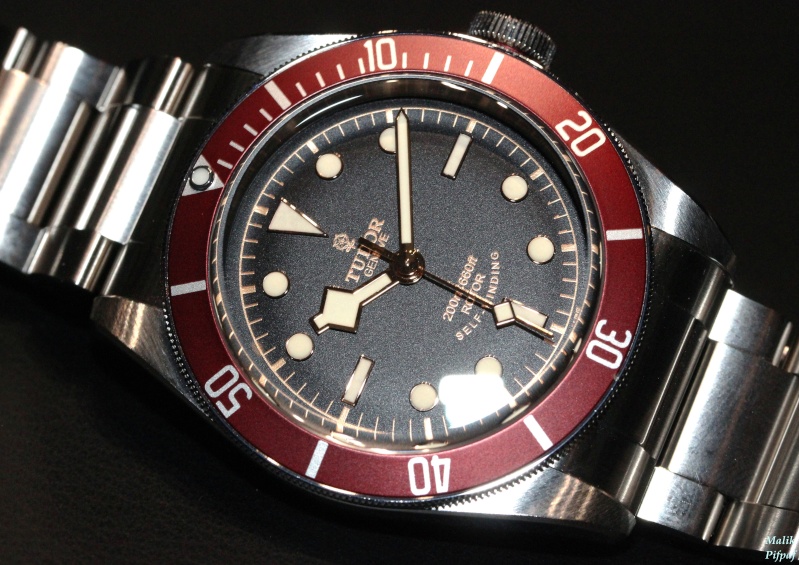 tudor_12.jpg
