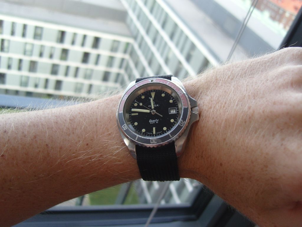 SNC16937.jpg