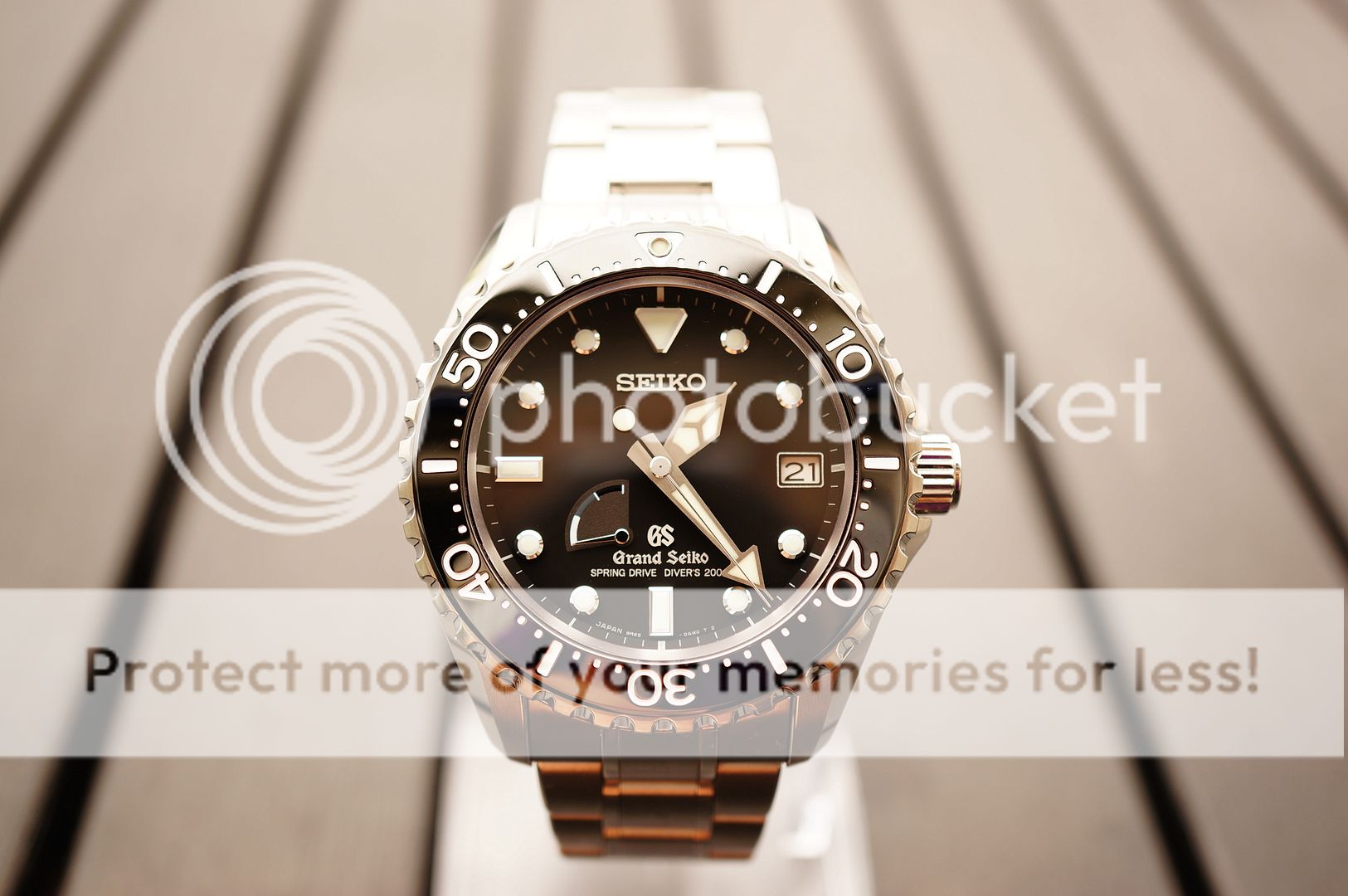 grand seiko spring diver