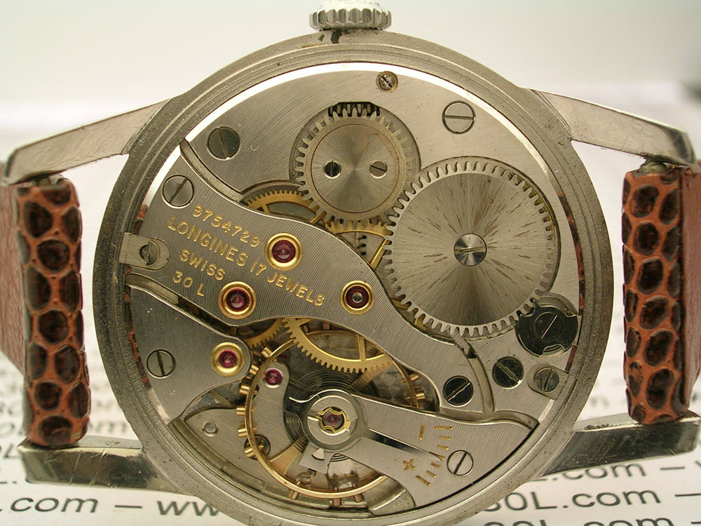 9754729_mov.jpg