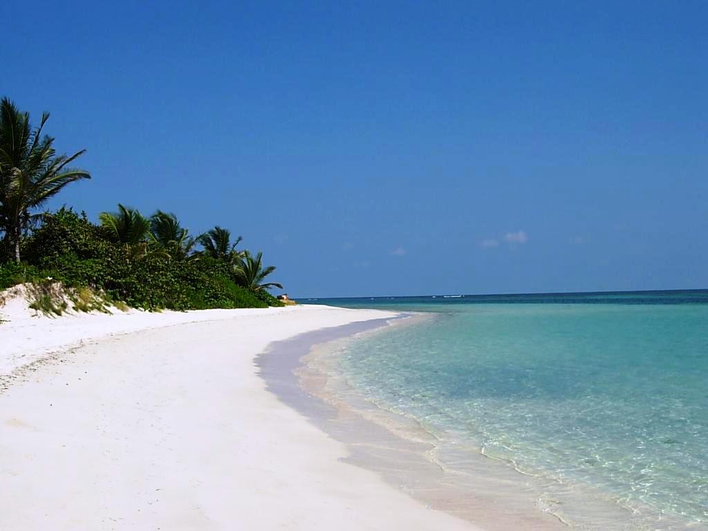 culebra-puerto-rico.jpg