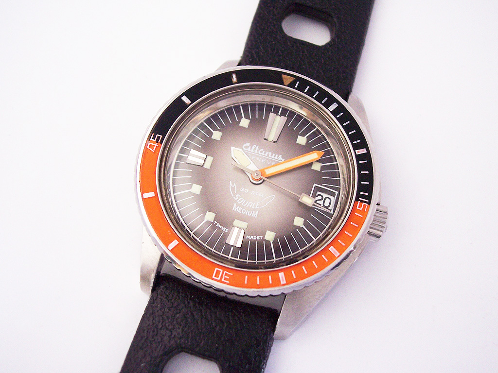 Altanus-Squale-5.jpg